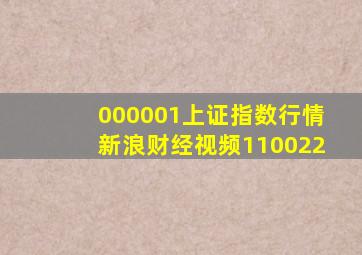 000001上证指数行情新浪财经视频110022