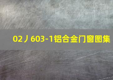 02丿603-1铝合金门窗图集