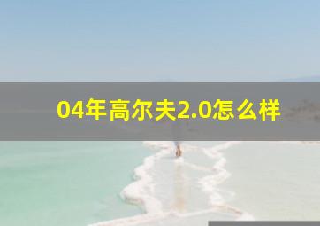 04年高尔夫2.0怎么样