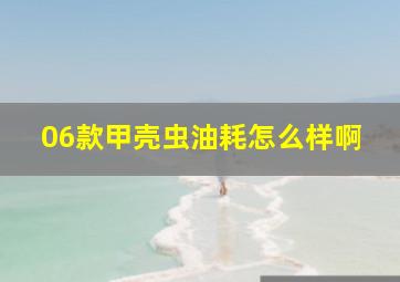 06款甲壳虫油耗怎么样啊