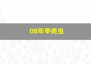 08年甲壳虫