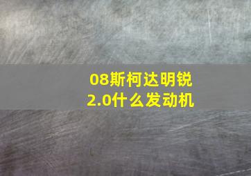 08斯柯达明锐2.0什么发动机