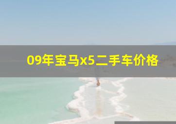 09年宝马x5二手车价格