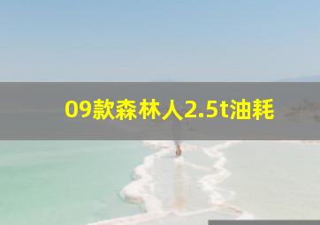 09款森林人2.5t油耗