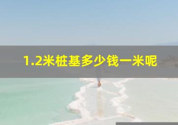 1.2米桩基多少钱一米呢