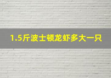 1.5斤波士顿龙虾多大一只