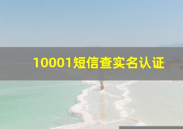 10001短信查实名认证