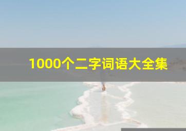 1000个二字词语大全集