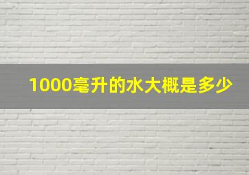 1000毫升的水大概是多少