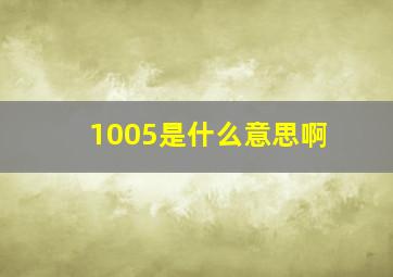 1005是什么意思啊