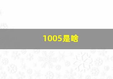 1005是啥