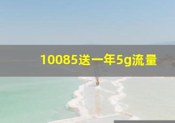 10085送一年5g流量