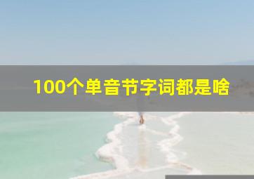 100个单音节字词都是啥