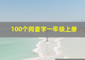 100个同音字一年级上册