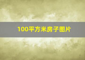 100平方米房子图片