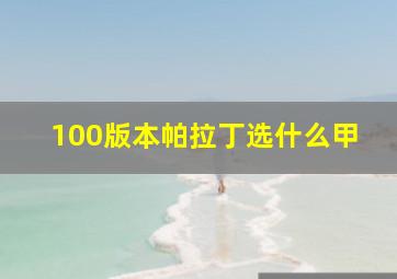 100版本帕拉丁选什么甲