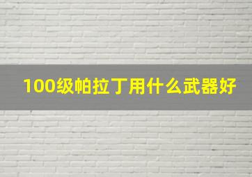 100级帕拉丁用什么武器好