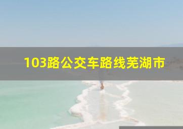 103路公交车路线芜湖市