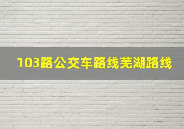 103路公交车路线芜湖路线