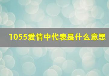 1055爱情中代表是什么意思