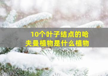 10个叶子结点的哈夫曼植物是什么植物