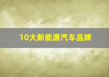 10大新能源汽车品牌