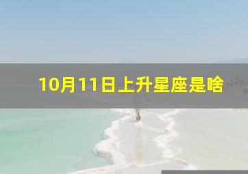 10月11日上升星座是啥