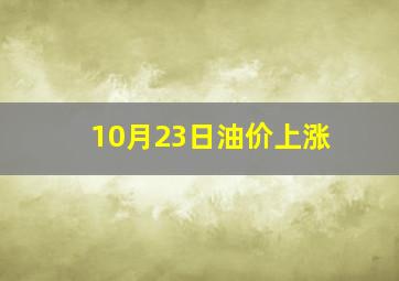 10月23日油价上涨