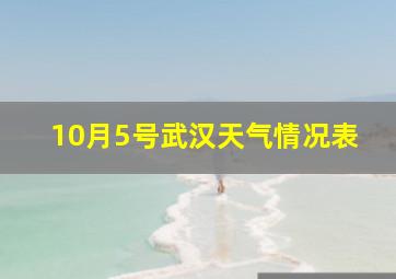 10月5号武汉天气情况表