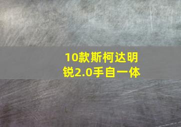 10款斯柯达明锐2.0手自一体