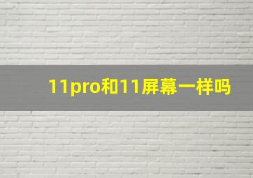 11pro和11屏幕一样吗