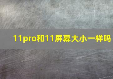 11pro和11屏幕大小一样吗