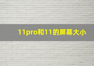 11pro和11的屏幕大小