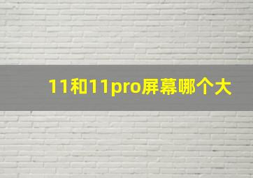 11和11pro屏幕哪个大