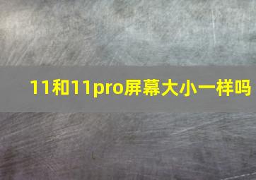 11和11pro屏幕大小一样吗