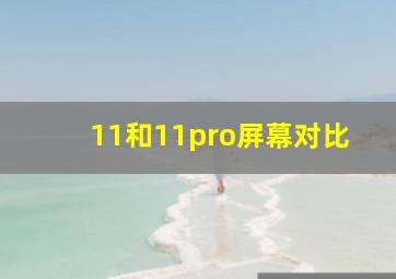 11和11pro屏幕对比