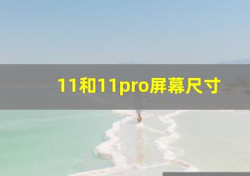 11和11pro屏幕尺寸