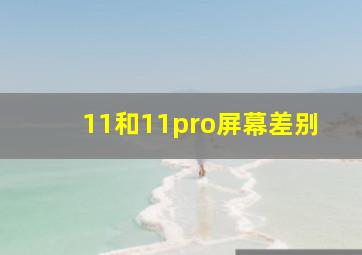 11和11pro屏幕差别