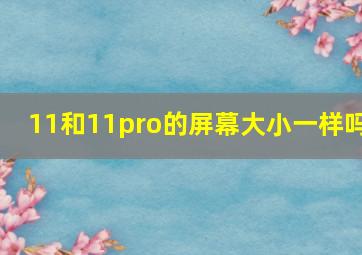 11和11pro的屏幕大小一样吗