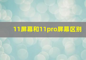 11屏幕和11pro屏幕区别