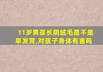 11岁男孩长阴绒毛是不是早发育,对孩子身体有害吗