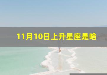 11月10日上升星座是啥