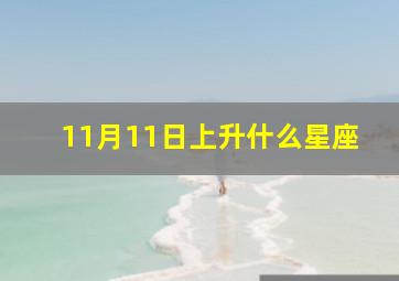 11月11日上升什么星座