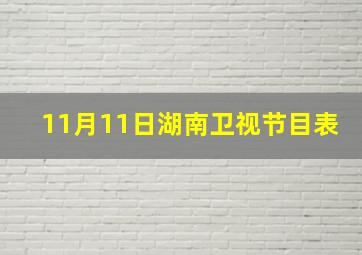 11月11日湖南卫视节目表