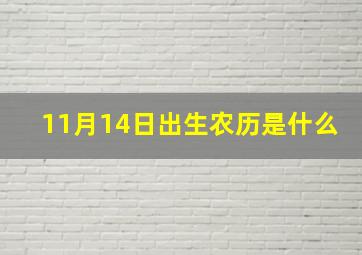 11月14日出生农历是什么