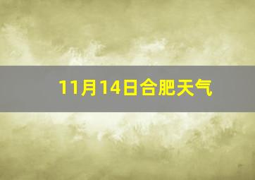 11月14日合肥天气