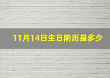 11月14日生日阴历是多少