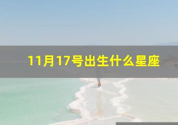 11月17号出生什么星座