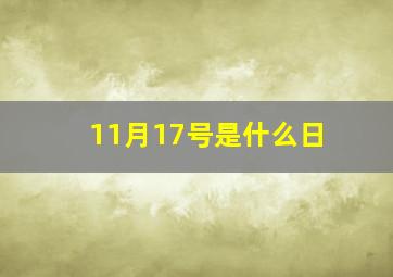 11月17号是什么日