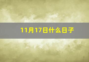 11月17日什么日子